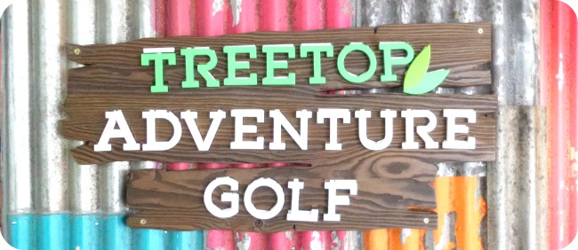 Treetop Adventure Golf 1